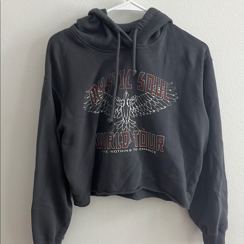 Hollister Dark Gray Graphic Hoodie